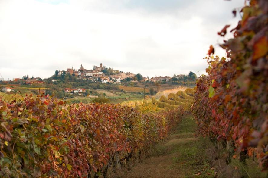Agriturismo Antichi Poderi Gallina Neive Exterior foto